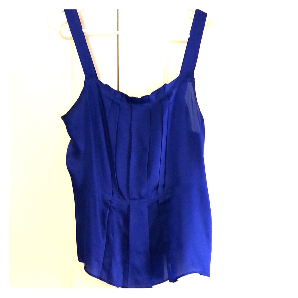 Delicate colbalt blue J. Crew top